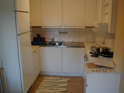 apartment kitchen in Sodettalje