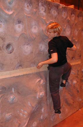 Ylva Hardemark on the bouldering wall